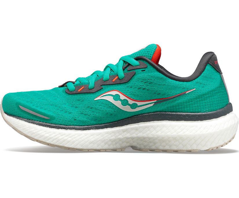 Women's Saucony Triumph 19 Running Shoes Mint | Singapore 210WNBY